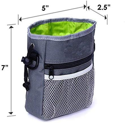 Treat Belt Bag