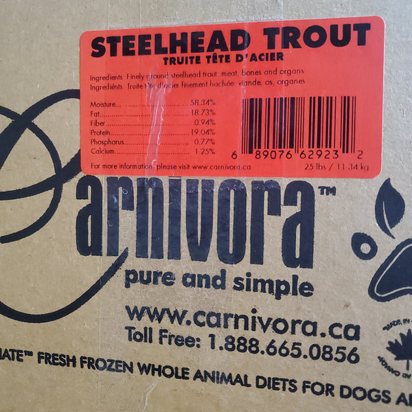 Carnivora Steelhead trout