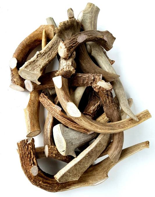 Antler Dog Chews