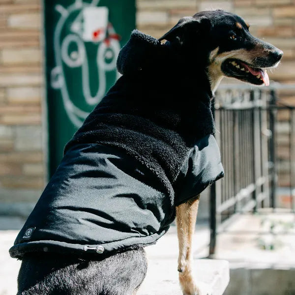 Silver Paw Black Quilted Jacket