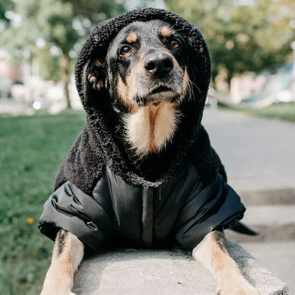 Silver Paw Black Quilted Jacket