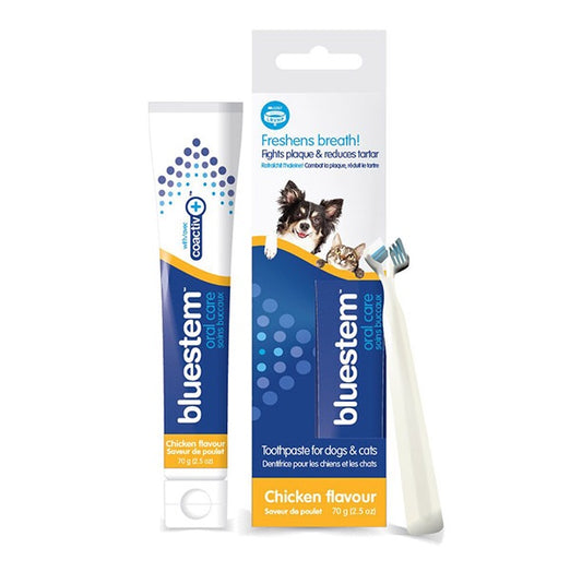 Bluestem pet toothpaste