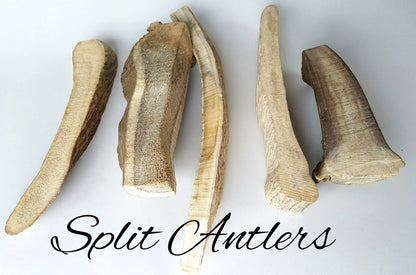 Antler Dog Chews